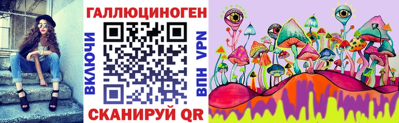 что такое   Истра  Псилоцибиновые грибы Magic Shrooms 